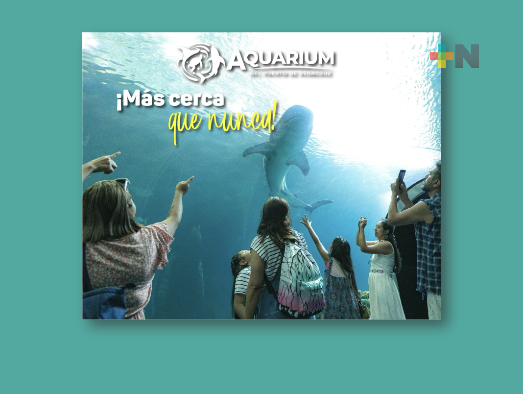 Aquarium del Puerto de Veracruz abierto todos los días, listo para recibirte: Gobernador